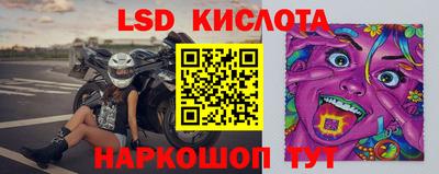 прущие грибы Железногорск