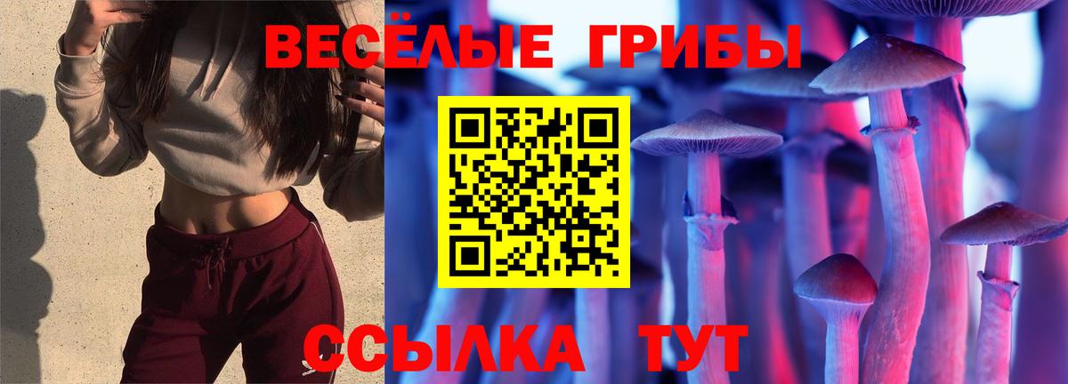 Галлюциногенные грибы мицелий Богородск